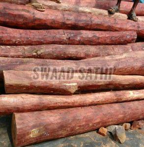 Red sandalwood