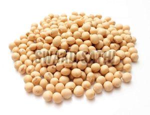 Soyabean Seeds