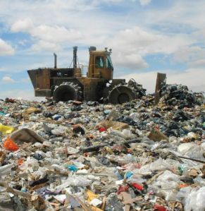 Municipal Solid Waste Shredder Machine