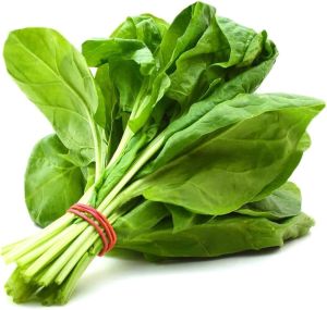 Fresh Spinach Leaves