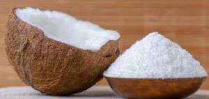 Organic Desiccated Coconut Powder