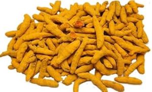 Turmeric Finger