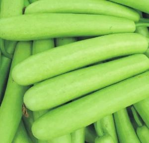 Fresh Natural Bottle Gourd