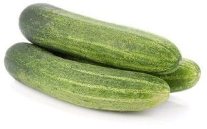 Indian Fresh Cucumber