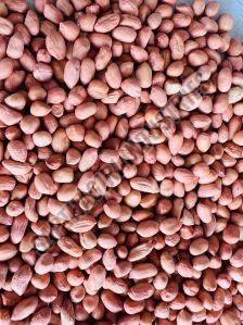 100 & 120 Grade Brown HPS Groundnut Seeds