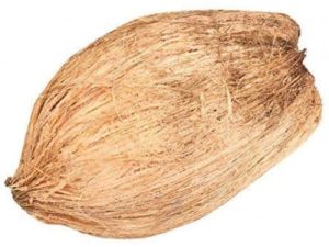 Dried Coconut Husk