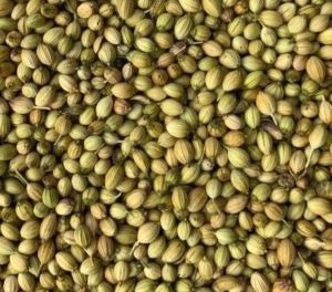 Coriander Seeds