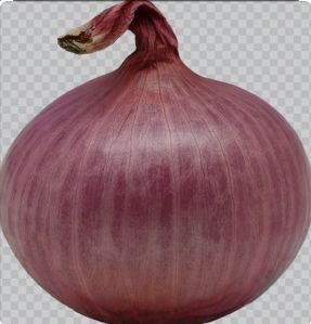 Fresh Red Onion