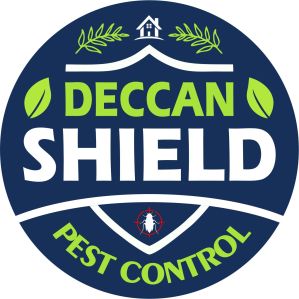 Best Termite Control Services In Hyderabad Near Me DS