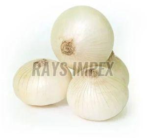 A Grade White Onion