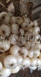 Natural White Onion