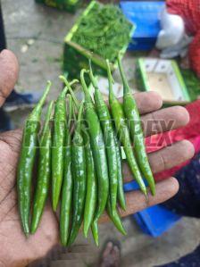 Organic Green Chilli