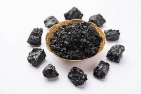 Shilajit Extract