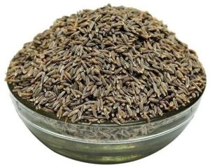 Singapore Quality Cumin Seeds