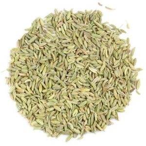 Singapore Quality Fennel Seeds