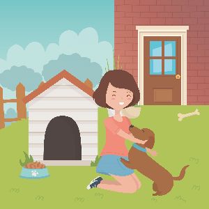 pet day care services