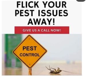 general pest control