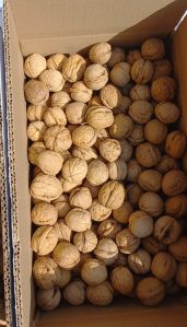 Kashmiri Super walnut