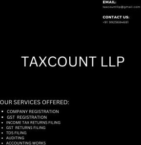 Income Tax Consultant