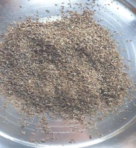 Brown Cumin Seeds