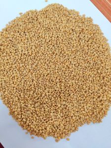 Fenugreek Seed