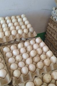 Duck Eggs