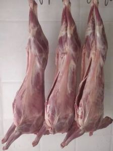 Fresh mutton carcass