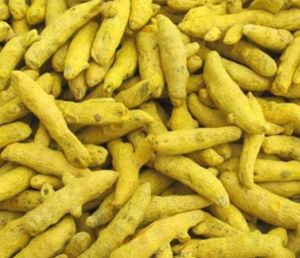 Turmeric Finger