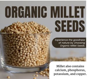 Millet Seed