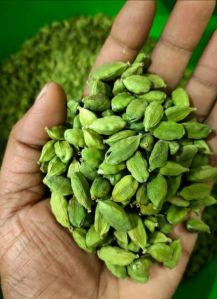 Green Cardamom