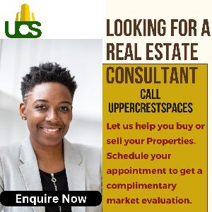 Real Estate Consultant