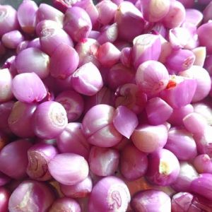 Shallot Onion Peeled