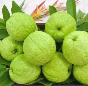 Fresh Guava