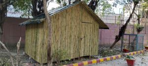 bamboo huts