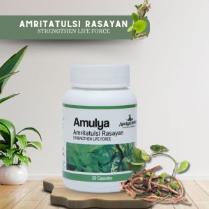 amulya amritatulsi rasayan capsules