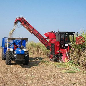 sugar cane harvester