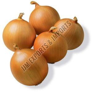 Yellow Onion