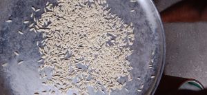 Fortified Rice Kernels