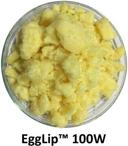 egglip 100w egg phosphatidylcholine wax