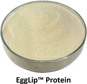 EggLip Protein