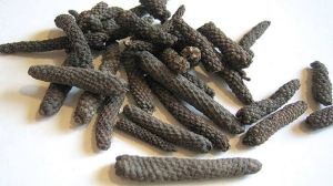 Long Pepper