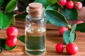 Winter Cherry Oil