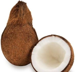 Coconut