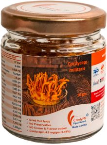 Cordyceps Militaris