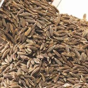 Dried Cumin Seeds