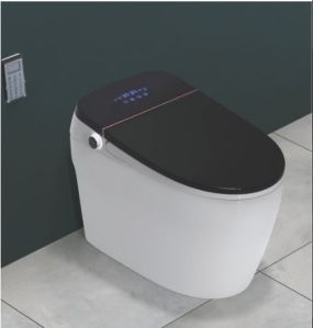 680mm X420mmX555mm Smart Toilet