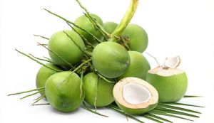 Fresh Green Tender Coconut