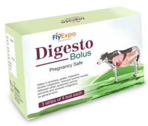 digesto bolus