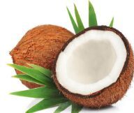 Coconut