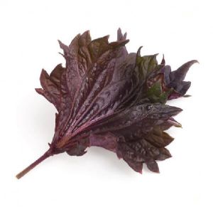 Shiso Red